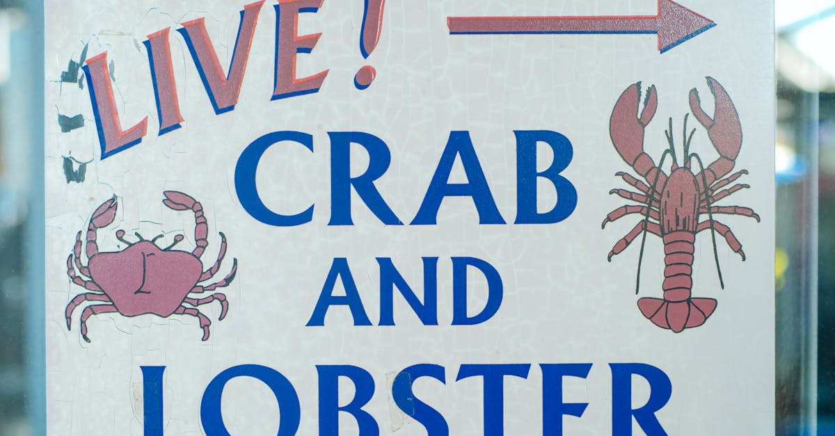 10 Best Places to Buy Lobster Tails Online