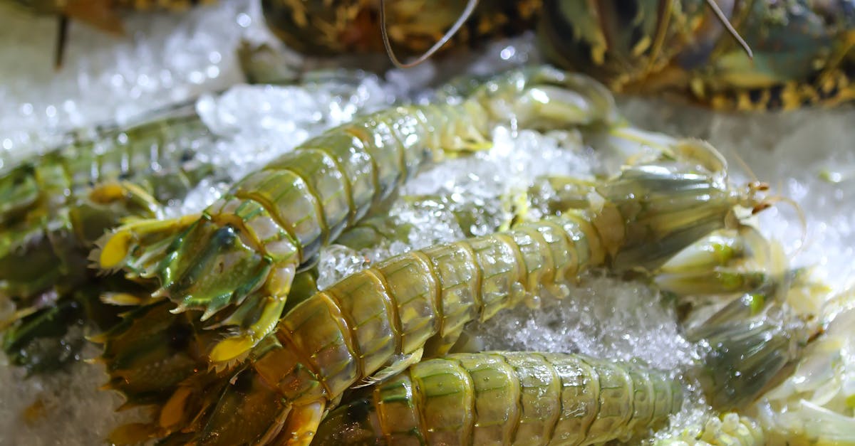 10 Tips for Buying the Best Lobster Tails