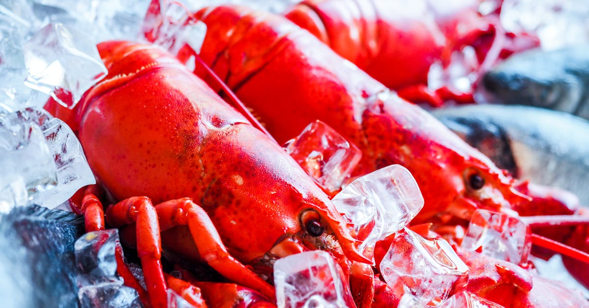 10 Tips for Buying the Best Lobster Tails