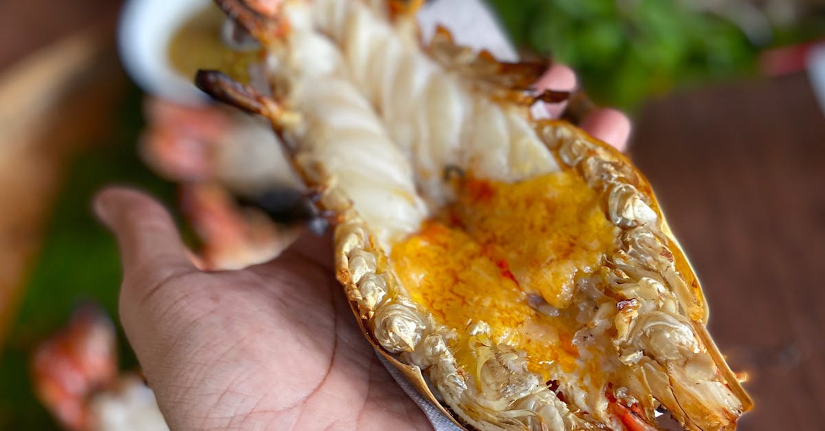 A History of Lobster Tail Sizing and Standards